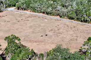 8989 S Great Oaks Dr, Floral City, FL 34436 - Photo 19