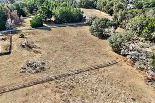 8989 S Great Oaks Dr, Floral City, FL 34436 - Photo 43