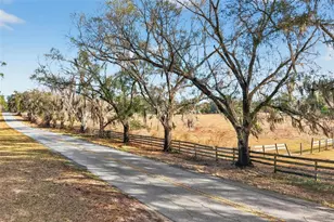 8989 S Great Oaks Dr, Floral City, FL 34436 - Photo 3