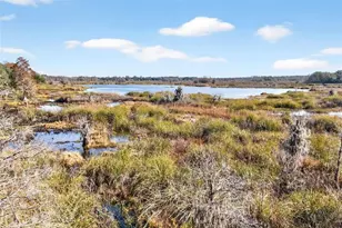 8989 S Great Oaks Dr, Floral City, FL 34436 - Photo 27
