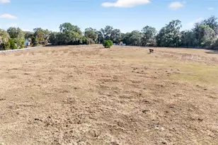 8989 S Great Oaks Dr, Floral City, FL 34436 - Photo 23