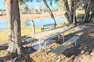 3990 N Bluewater Dr, Hernando, FL 34442 - Photo 29