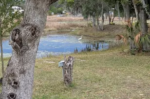 3990 N Bluewater Dr, Hernando, FL 34442 - Photo 7