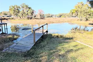 3990 N Bluewater Dr, Hernando, FL 34442 - Photo 1