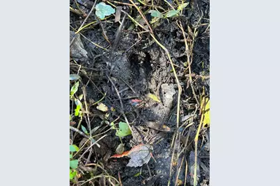 N/A, Naples, FL 34120 - Photo 31