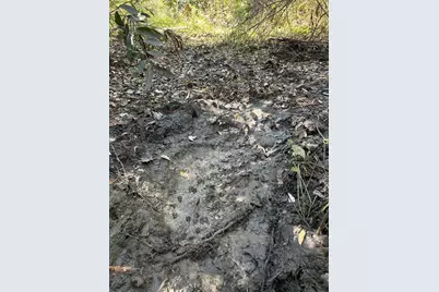 N/A, Naples, FL 34120 - Photo 33