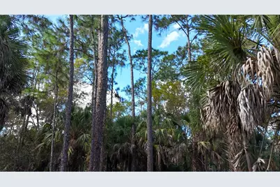 16th Ave SE, Naples, FL 34117 - Photo 5