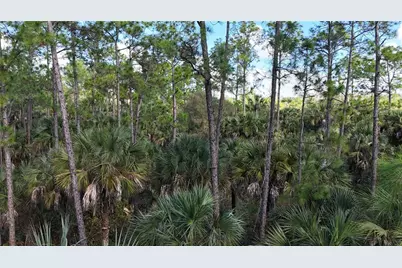16th Ave SE, Naples, FL 34117 - Photo 3