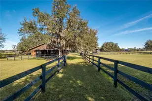 9760 W Hwy 316, Reddick, FL 32686 - Photo 57