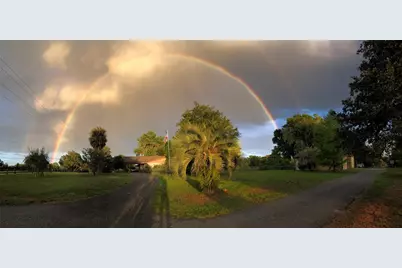 9760 W Highway 316, Reddick, FL 32686 - Photo 79