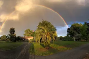 9760 W Hwy 316, Reddick, FL 32686 - Photo 79