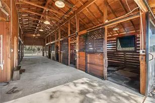 9760 W Hwy 316, Reddick, FL 32686 - Photo 53