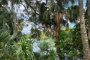 12178 Palmetto Way, Dunnellon, FL 34432 - Photo 33