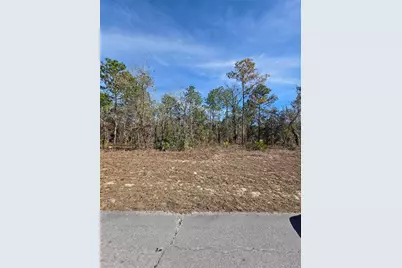 Tbd SW 87th Avenue, Ocala, FL 34473 - Photo 1