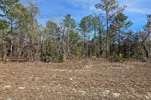 Tbd SW 87th Ave, Ocala, FL 34473 - Photo 1