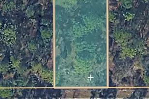 0000 NW Skylark Ln, Dunnellon, FL 34431 - Photo 1