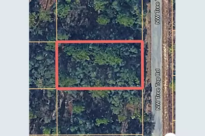 0000 NW Treetop Road #007, Dunnellon, FL 34431 - Photo 1