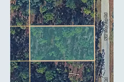 0000 NW Treetop Road #021, Dunnellon, FL 34431 - Photo 1