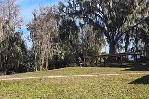 2346 Cr 401, Lake Panasoffkee, FL 33538 - Photo 19