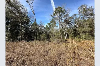 Tbd SE 67th Place, Morriston, FL 32668 - Photo 5