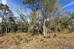 Tbd SE 67th Pl, Morriston, FL 32668 - Photo 1