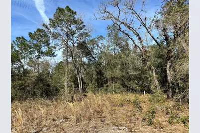 Tbd SE 67th Place, Morriston, FL 32668 - Photo 7