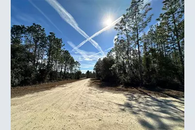 Tbd SE 67th Place, Morriston, FL 32668 - Photo 3