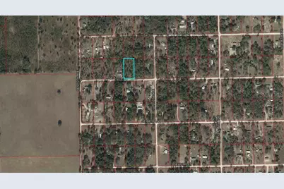 Tbd SE 67th Place, Morriston, FL 32668 - Photo 9