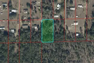 Tbd NE Ne 85th Ave, Bronson, FL 32621 - Photo 1