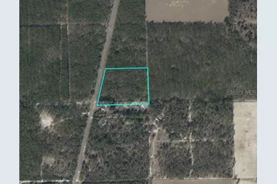 N Us-129, Bell, FL 32619 - Photo 1
