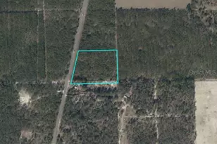 N Us-129, Bell, FL 32619 - Photo 1