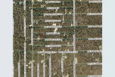 Nw Banyan Ln, Dunnellon, FL 34431 - Photo 3