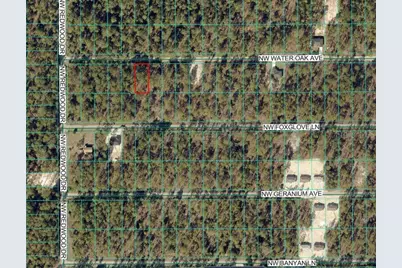 24394 NW Water Oak Avenue, Dunnellon, FL 34431 - Photo 3