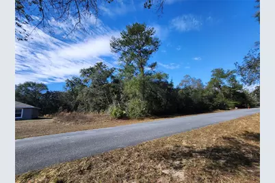 Tbd SW 29 Terrace Road, Ocala, FL 34473 - Photo 5