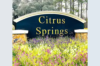 3637 W Wilhelm Street, Citrus Springs, FL 34433 - Photo 31