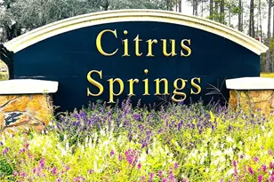 3637 W Wilhelm St, Citrus Springs, FL 34433 - Photo 31