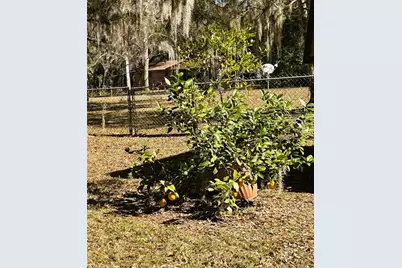 1150 SW Shorewood Drive, Dunnellon, FL 34431 - Photo 69