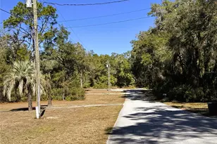 1150 SW Shorewood Dr, Dunnellon, FL 34431 - Photo 3