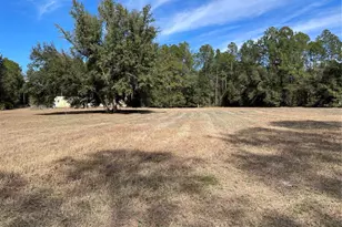 7785 NE 199th Street Rd, Citra, FL 32113 - Photo 11