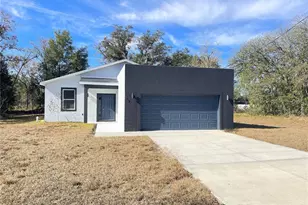 10 Guava Ln Course, Ocklawaha, FL 32179 - Photo 1