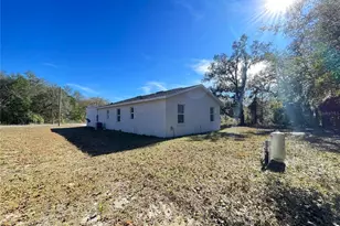 10 Guava Ln Course, Ocklawaha, FL 32179 - Photo 21