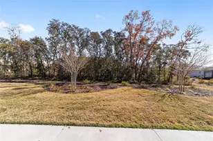 9065 SW 106th Ave, Ocala, FL 34481 - Photo 61