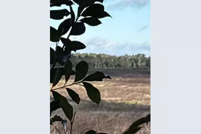 21425 SW Plantation Street, Dunnellon, FL 34431 - Photo 47