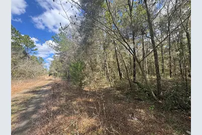 0000 NE 154th Avenue, Williston, FL 32696 - Photo 3