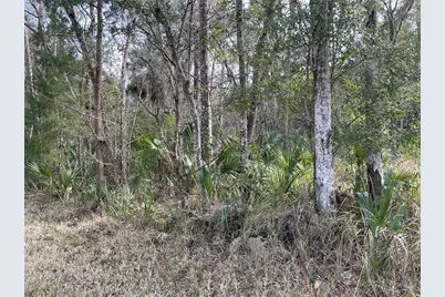 11106 W Townsend Lane, Homosassa, FL 34448 - Photo 3