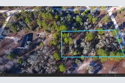 Se 137th Court, Morriston, FL 32668 - Photo 1