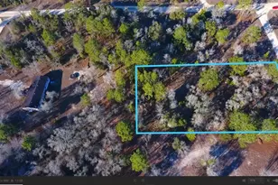 SE 137th Ct, Morriston, FL 32668 - Photo 1