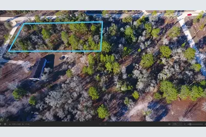 Se 136th Avenue, Morriston, FL 32668 - Photo 3