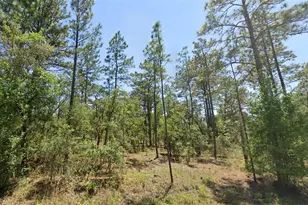 00 NW Shamrock Ave, Dunnellon, FL 34431 - Photo 1