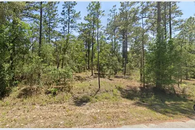 00 NW Shamrock Avenue, Dunnellon, FL 34431 - Photo 3